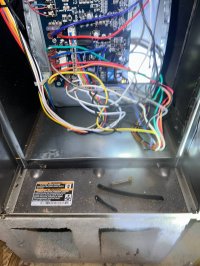 photo_4_2025-07-08_12-03-47