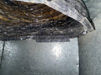 photo_5_2025-07-08_12-03-47