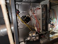 photo_7_2025-07-08_12-03-47