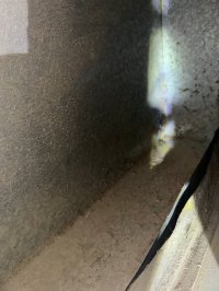 photo_9_2025-07-08_12-03-47