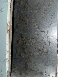 photo_24_2025-07-08_12-03-47