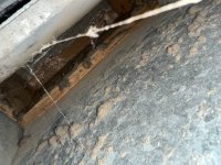 photo_26_2025-07-08_12-03-47