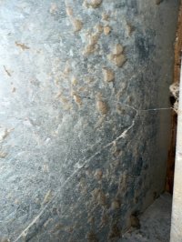 photo_29_2025-07-08_12-03-47