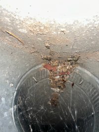 photo_34_2025-07-08_12-03-47