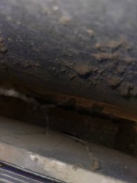 photo_36_2025-07-08_12-03-47