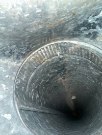 photo_50_2025-07-08_12-03-47