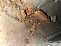 photo_53_2025-07-08_12-03-47