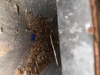 photo_55_2025-07-08_12-03-47