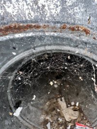 photo_59_2025-07-08_12-03-47