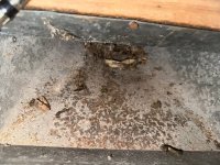 photo_62_2025-07-08_12-03-47