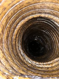 photo_65_2025-07-08_12-03-47