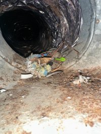 photo_74_2025-07-08_12-03-47