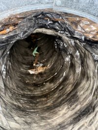 photo_76_2025-07-08_12-03-47