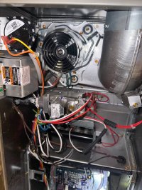 photo_80_2025-07-08_12-03-47